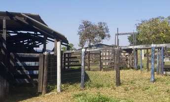 Imagem 5: Fazenda Com 31 Alqueires A 40 Km Da Ponte Jk. quartos