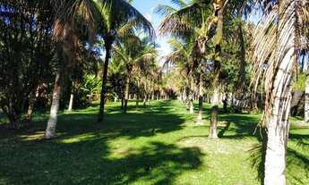 Imagem 7: Grota Funda - Sítio com 8mil Metros quadrados e ampla área verde