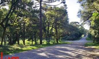 Imagem: Terreno na Vila Pinheiro em Ana Rech! REF