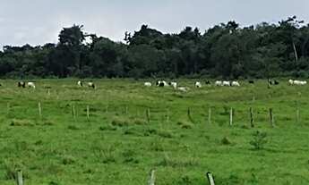 Imagem: R$2.3 milhões 175 hectares com 80 aberto