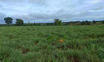 Imagem 4: Fazenda 95 alqueires