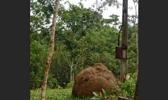 Imagem 5: Chácara parcelada condomínio Santo Antônio do Descoberto