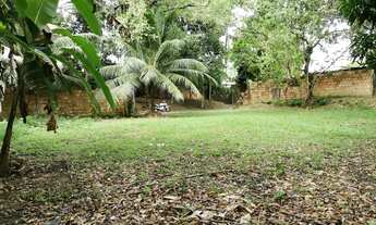 Imagem 4: Terreno / 1.200m² / Bairro Flores