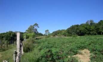 Imagem 3: Porto Alegre - Terreno Padrão - Chapéu do Sol