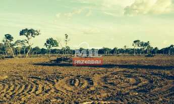 Imagem 3: Fazenda Beira Tocantins. > 1.000 Alq. (4.840 Há). p/ Soja