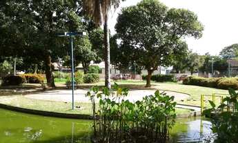 Imagem 2: Alugo quarto em excelente casa no Hipódromo / Campo Grande com garagem