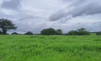 Imagem 3: Excelente Fazenda com 288 hectares na região de cajazeiras entre Macaíba e bom Jesus-RN
