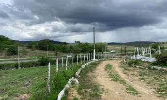 Imagem 3: Fazenda as margens da BR 232 com 11 hectares