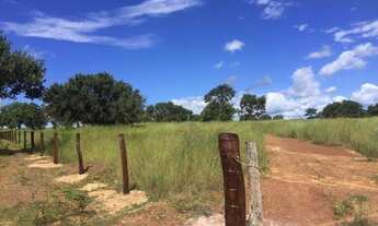Imagem 4: Fazenda de 425 hectares proxima a Miracema