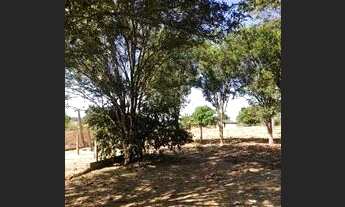 Imagem 3: Chácara em Paranaita Mt