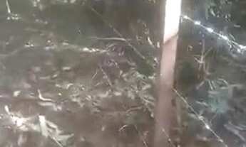 Imagem: Vendo terreno na estrada de Pindobal/Alter