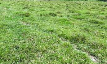 Imagem 4: LP- Vendo terreno com entrada baixa