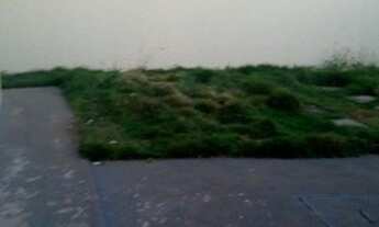 Imagem 2: Aluga se ou vende se ágio ocidental