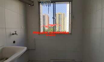 Imagem 7: Apartamento para Locação em São Paulo, Vila Parque Jabaquara, 2 dormitórios, 1 banheiro, 1