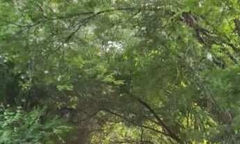 Imagem 2: Próximo ao Broma 13,00X37,00 e. 8,00X37,60