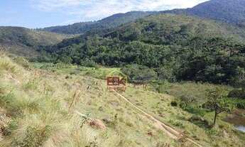 Imagem 4: Fazenda com 4 dormitórios à venda, 6292222 m² por R$ 12.500.000,00 - Parque Residencial Ir