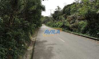 Imagem 5: Casa na natureza para venda e locação, Lagoa da Conceição, Florianópolis