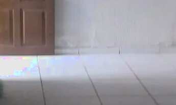 Imagem 4: Aluga se uma casa no vale dourado