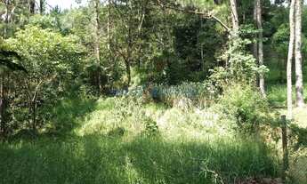 Imagem 7: Terreno - Joaquim Egídio - Campinas