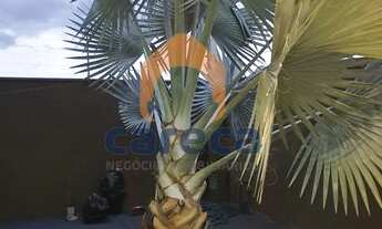 Imagem 2: Casa para Venda em Bady Bassitt, MENEZES 4, 2 dormitórios, 1 suíte, 3 banheiros, 2 vagas