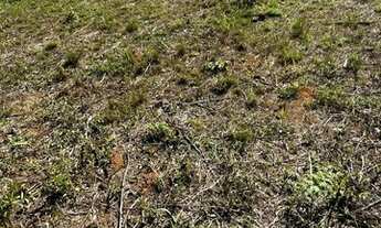 Imagem 3: TERRENO COM ORÇAMENTO BARATO - ESTANCIA SOL NASCENTE