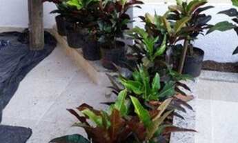 Imagem 4: Casa com 3 dormitórios para alugar, 150 m² por R$ 4.358,33/mês - Recreio dos Bandeirantes