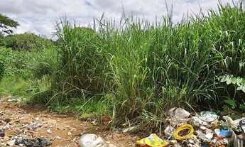 Imagem 7: Terreno no Parque Estrela Dalva IX - Luziânia/GO - (Lote 49 Quadra 73