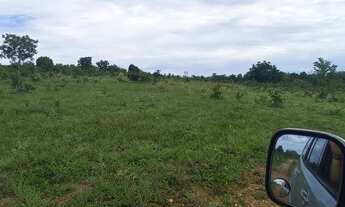 Imagem 7: URGENTE!!! Oportunidade Fazenda 2.362 ha abaixo da avaliação