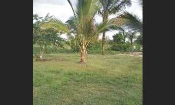 Imagem 3: Chácara top, a 500 metros do rio