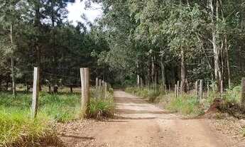 Imagem 6: Vende se terreno 500 m2 Bairro Mato Dentro