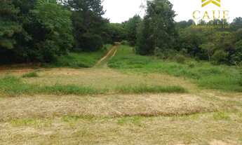 Imagem 3: Terreno no Querência