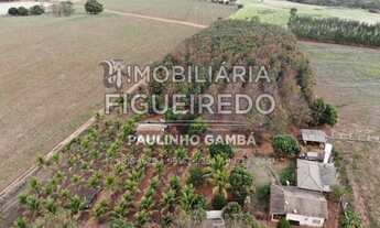 Imagem 4: Propriedade Rural na Região de #Olímpia SP