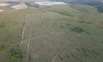 Imagem 2: Fazenadas em /Boa Vista/ Roraima 1.000 hequitares