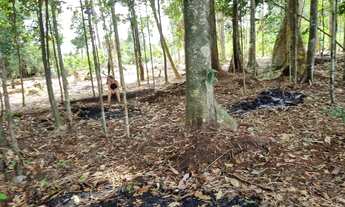 Imagem: Vendo terreno com igarape