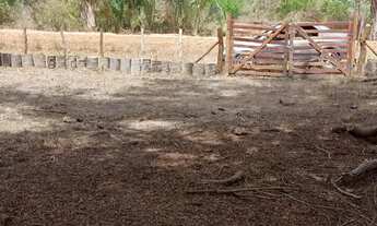 Imagem 3: Terreno de 3 hectares