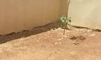 Imagem 7: Casa á venda com 2 quartos no Guanandi em Campo Grande - MS