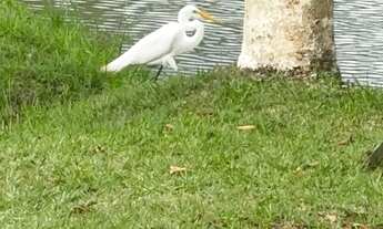 Imagem: 500 metros quadrados em Arujá, clube de