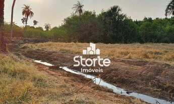 Imagem 2: Chácara à venda, 2 hectares (20.000m²) por R$ 260.000 - Uberlândia Sentido Araguari/Indian