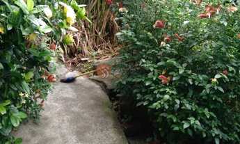 Imagem 4: Terreno na Vila Formosa