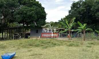 Imagem 5: Fazenda 56,6 alqueires ( 274 hectares) Jussara - GO