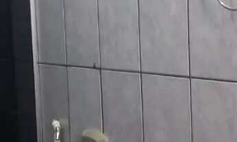 Imagem 6: Cidade Jardim - casa 03 dormitórios vende-se