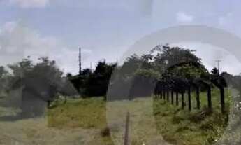 Imagem 2: Terreno no Bairro Mosqueiro com 352m² e Escritura Pronta