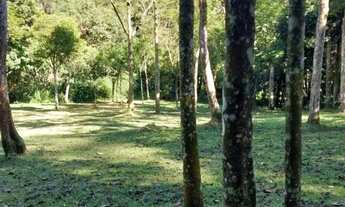 Imagem 2: TERRENO - RIACHO GRANDE - SP