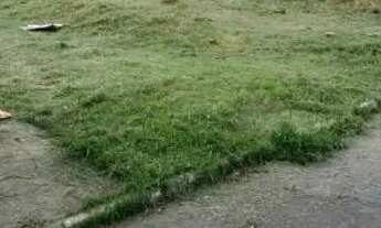 Imagem: Terreno central park