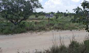 Imagem 7: Vendo terreno de chácara