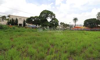 Imagem: Terreno - Nova Campinas - Campinas