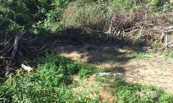 Imagem 3: Lote na estrada do Cetur