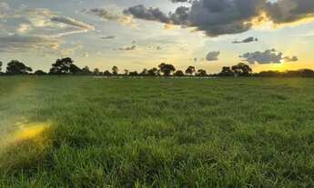 Imagem 5: Excelente Fazenda a Venda - Aruanã - GO