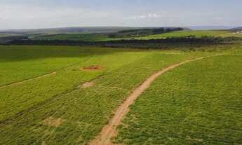 Imagem: Excelente fazenda no Goiás