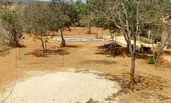 Imagem 7: Sítio - Chácara Próx. de Montes Claros 1 Hectare